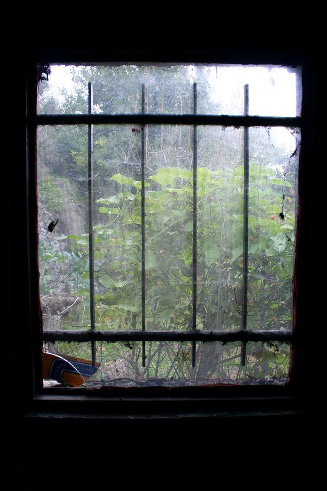 Photograph by Claudio Bonaccorsi