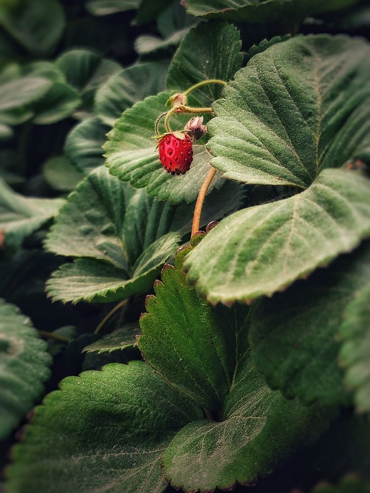 Фотография автора reyhane  khavaninzadeh