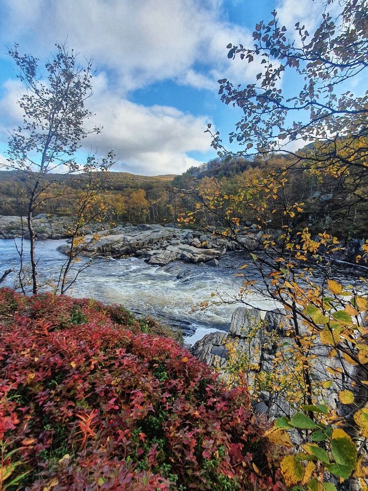 Photograph by Joanna Bell