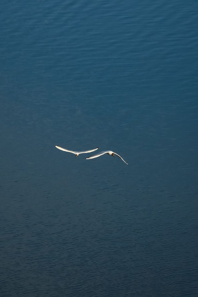 Photograph by Ehsan Fathi