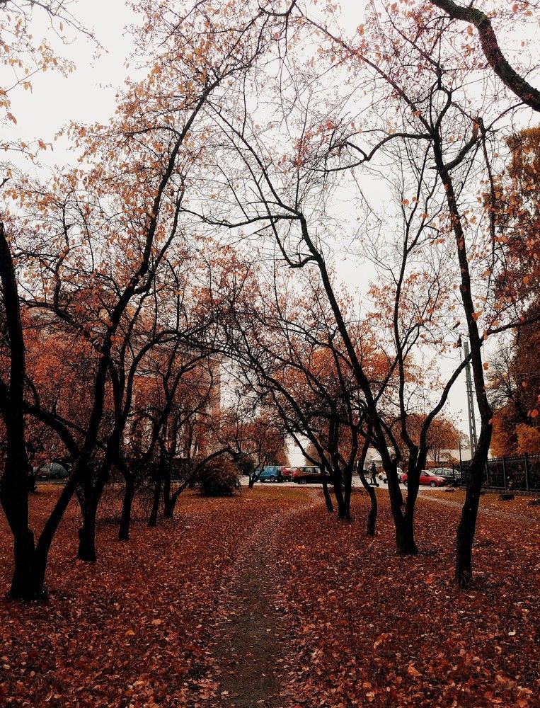 Photograph by Сергей Берез