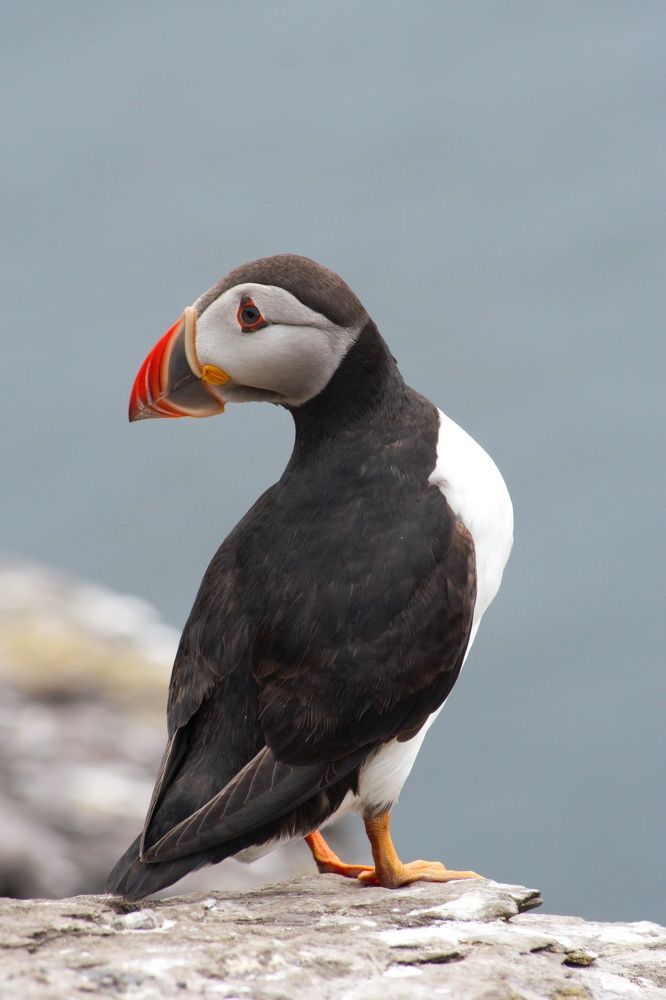 Photograph by Cristian Bertolini