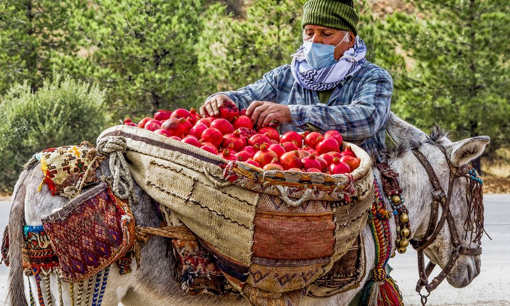 Фотография автора Farid Azadi