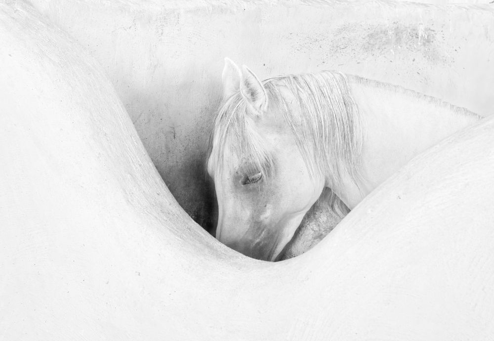 Фотография автора Farid Azadi