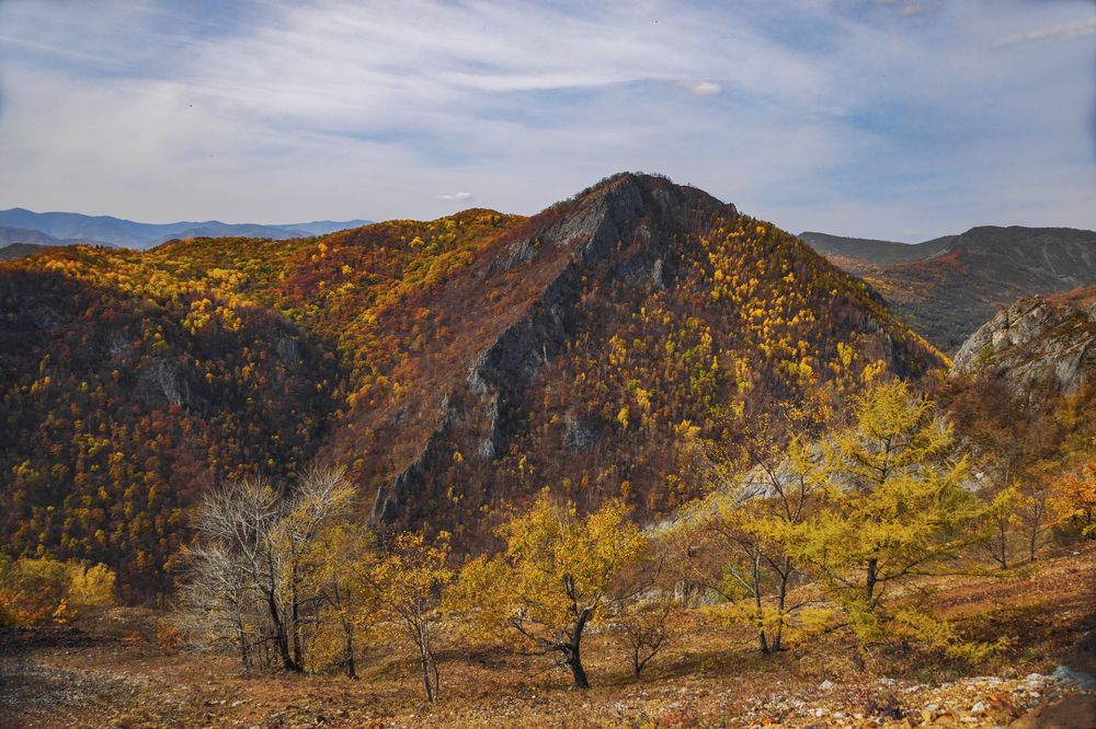 Фотография автора Анна Олещук