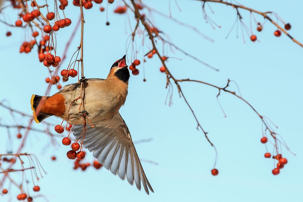 Photograph by Ильдар Валитов
