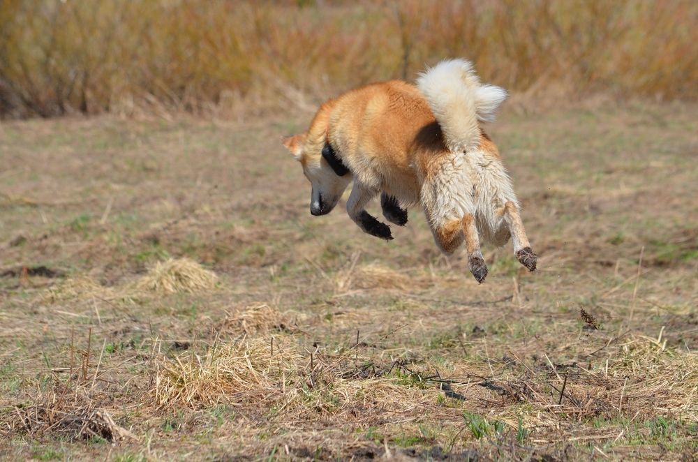 Photograph by Галина Катанова