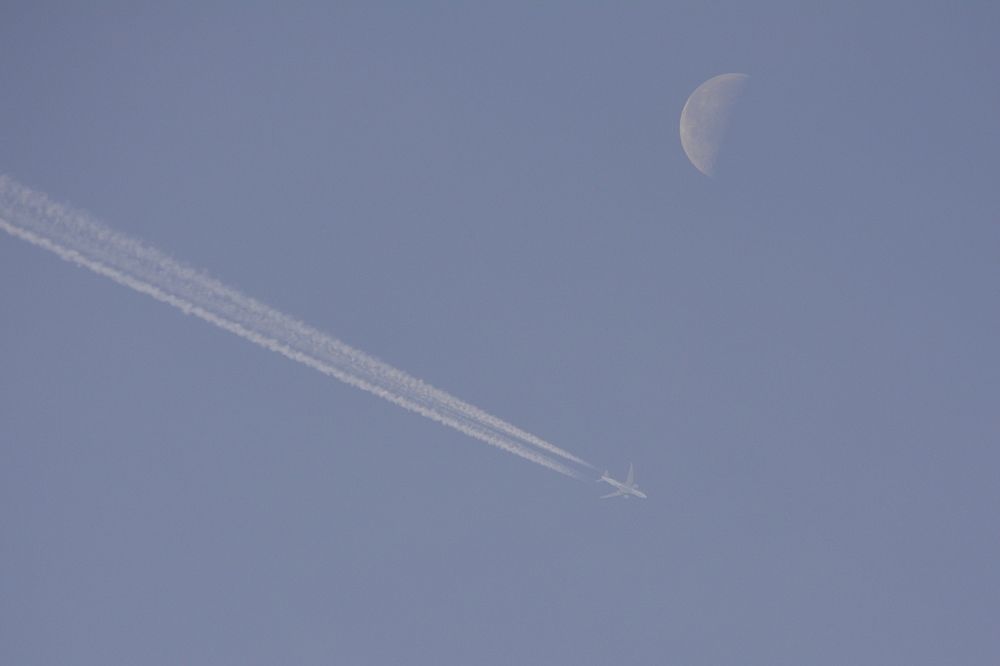 Photograph by Галина Катанова