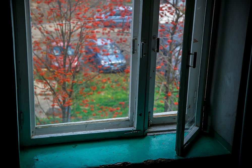 Photograph by Алексей Трифонов