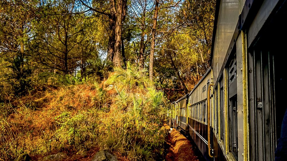 Фотография автора savitri Rawat