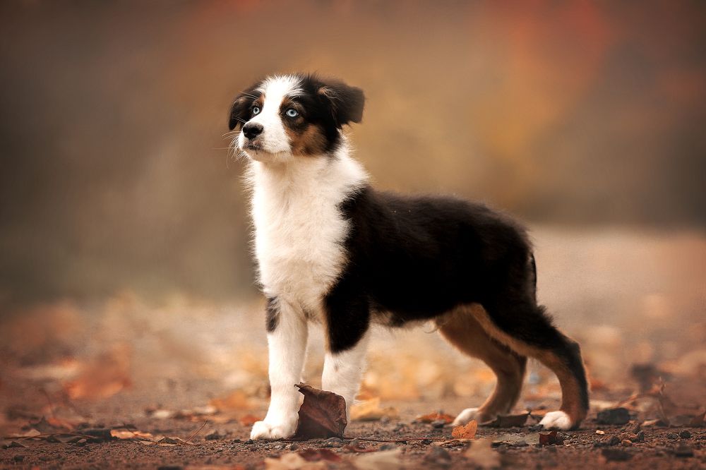 Фотография автора Кристина Невлер