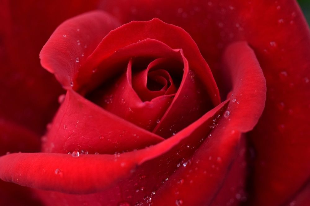 Photograph by Ирина Лучинская