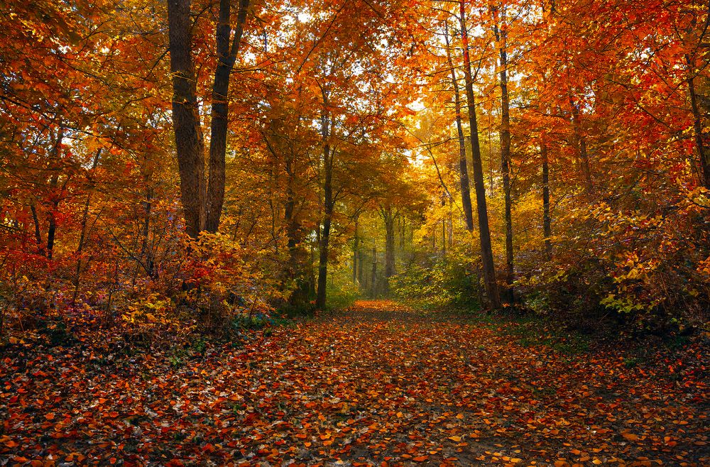 Photograph by Алексей Патлах