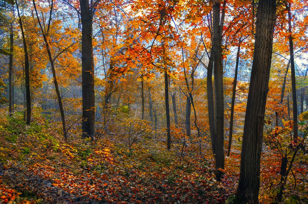 Photograph by Алексей Патлах