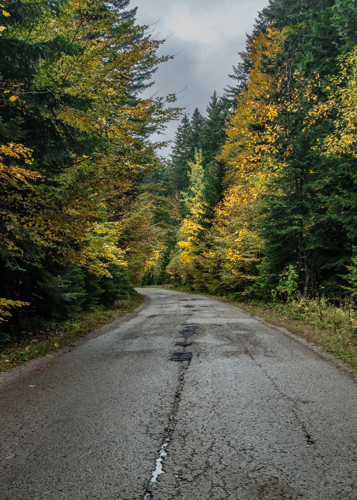 Photograph by Милан Ђорђевић