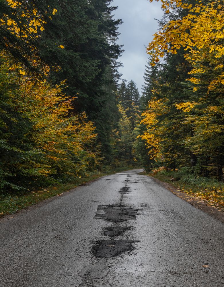 Photograph by Милан Ђорђевић