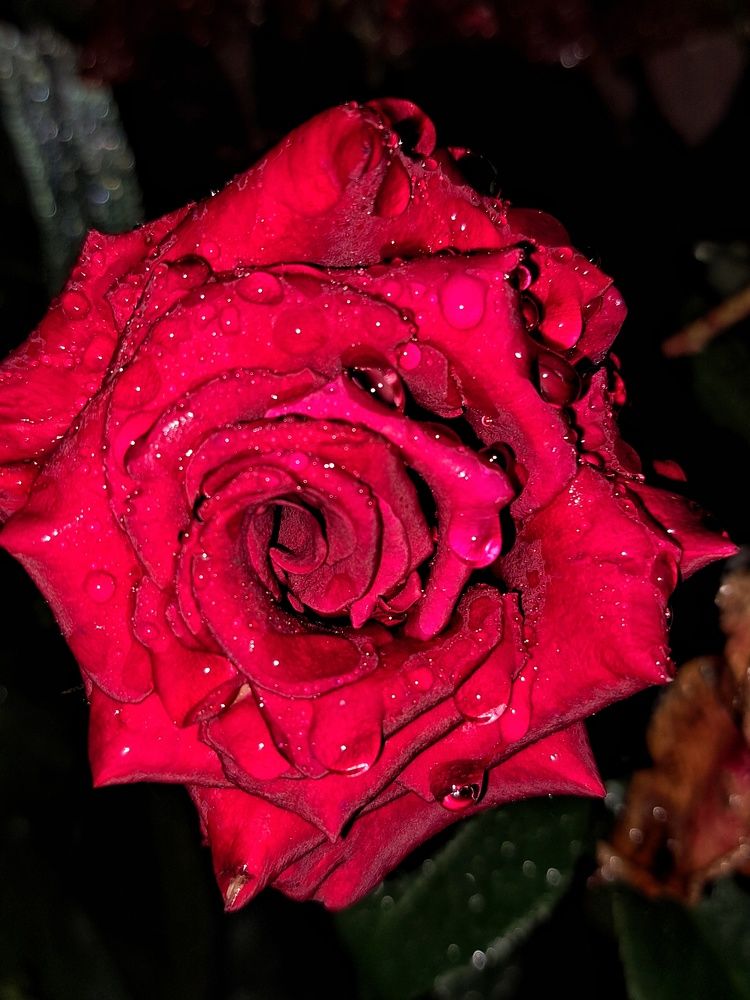 Photograph by Оксана Юдина