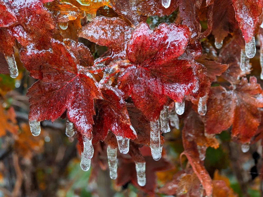 Photograph by Кузнецов Дмитрий