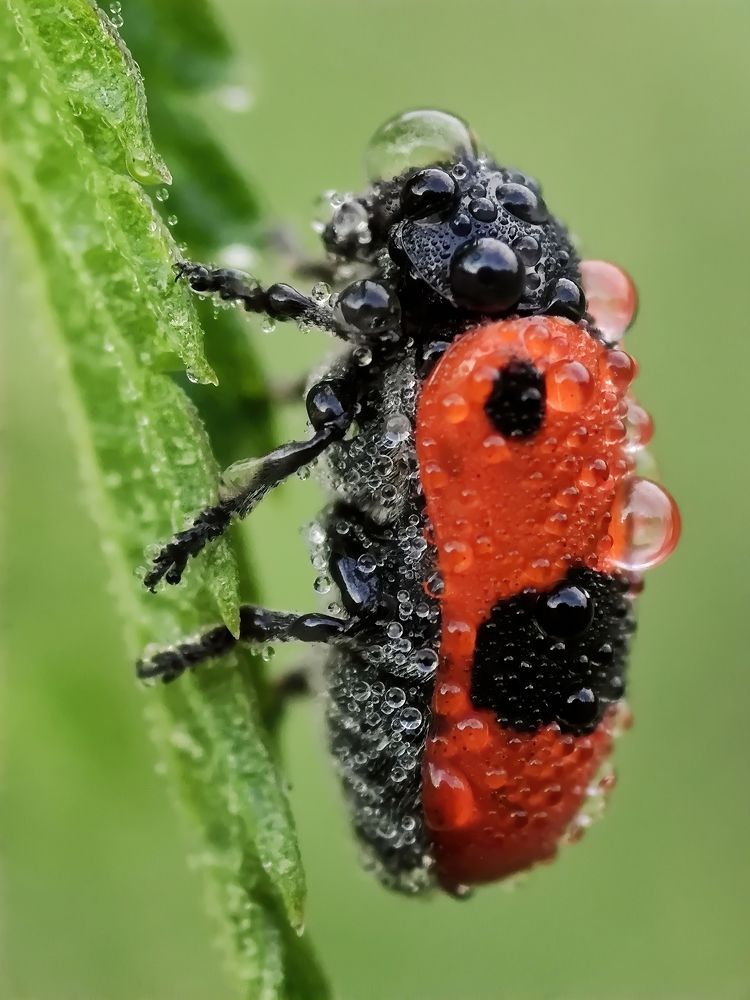 Photograph by Кузнецов Дмитрий