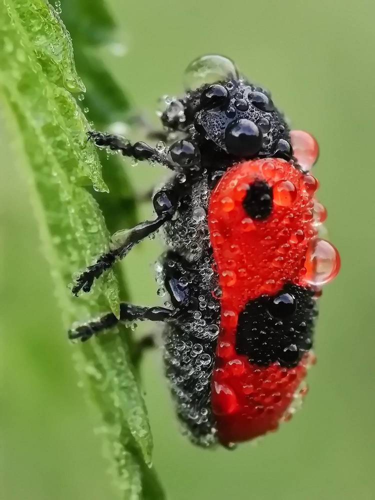 Photograph by Кузнецов Дмитрий