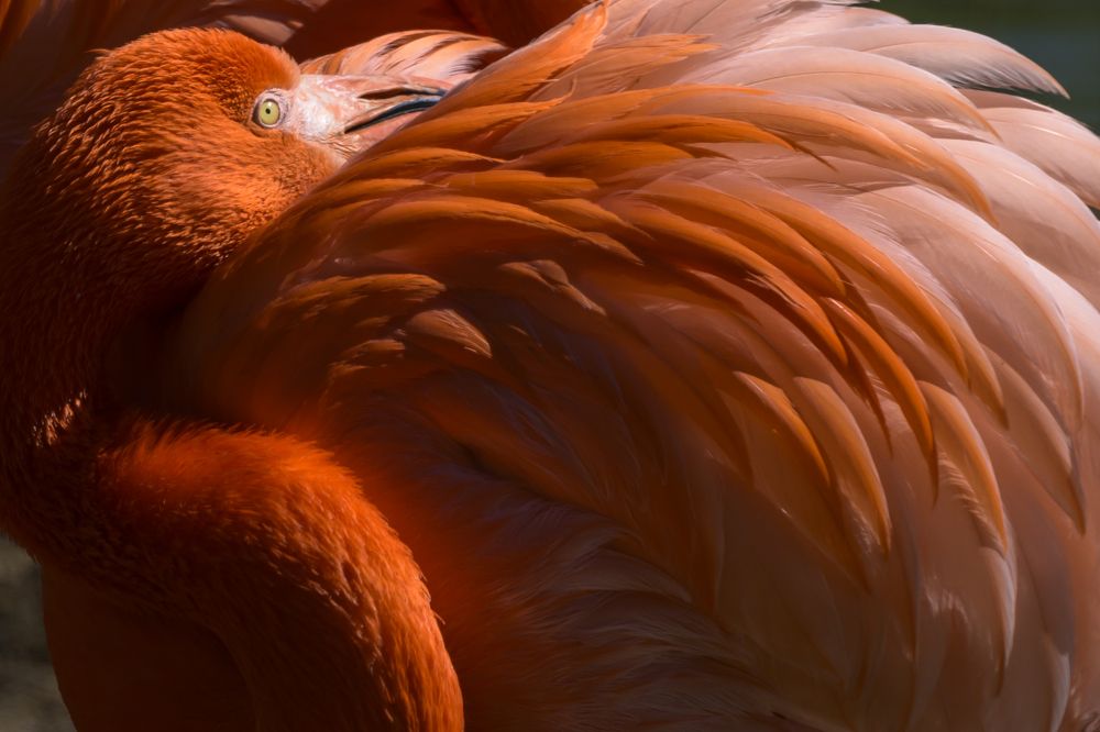 Photograph by Пупонин Сергей