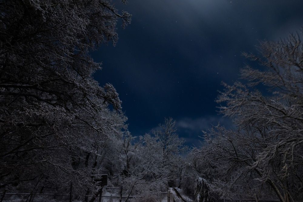 Photograph by Гибина Екатерина