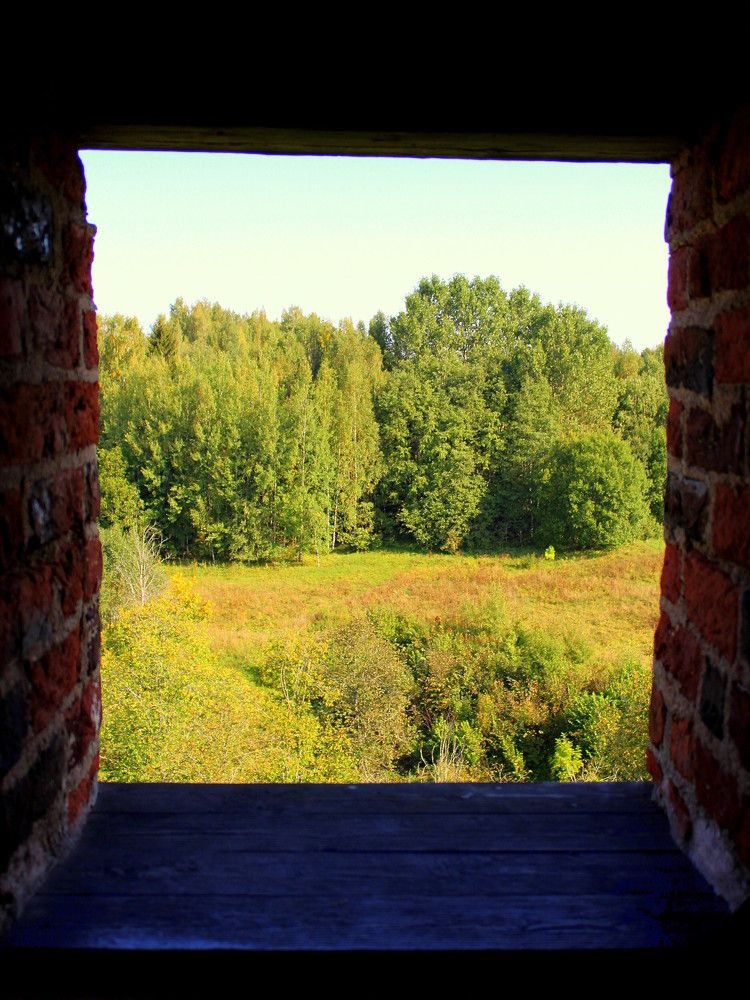 Photograph by 