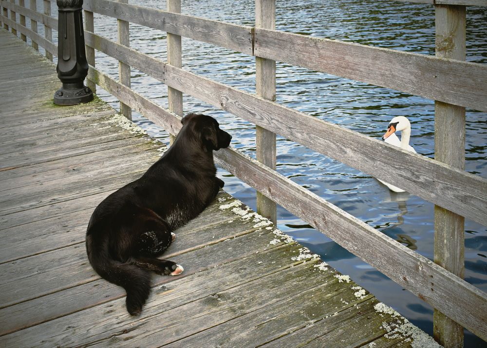 Мы с тобой одной крови...
