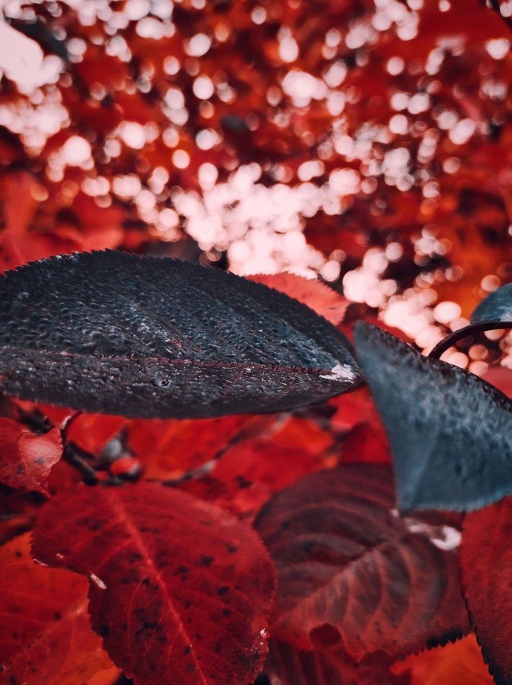 Photograph by Вероника Архипова