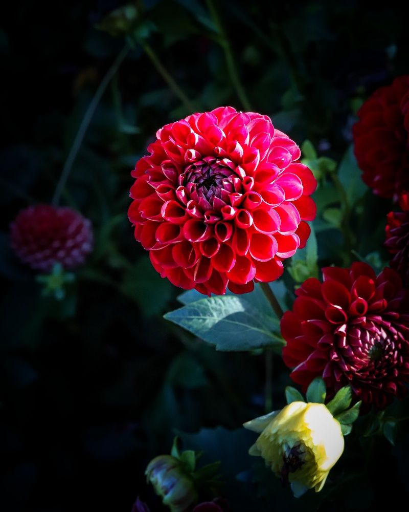 Photograph by MobigrafVDK