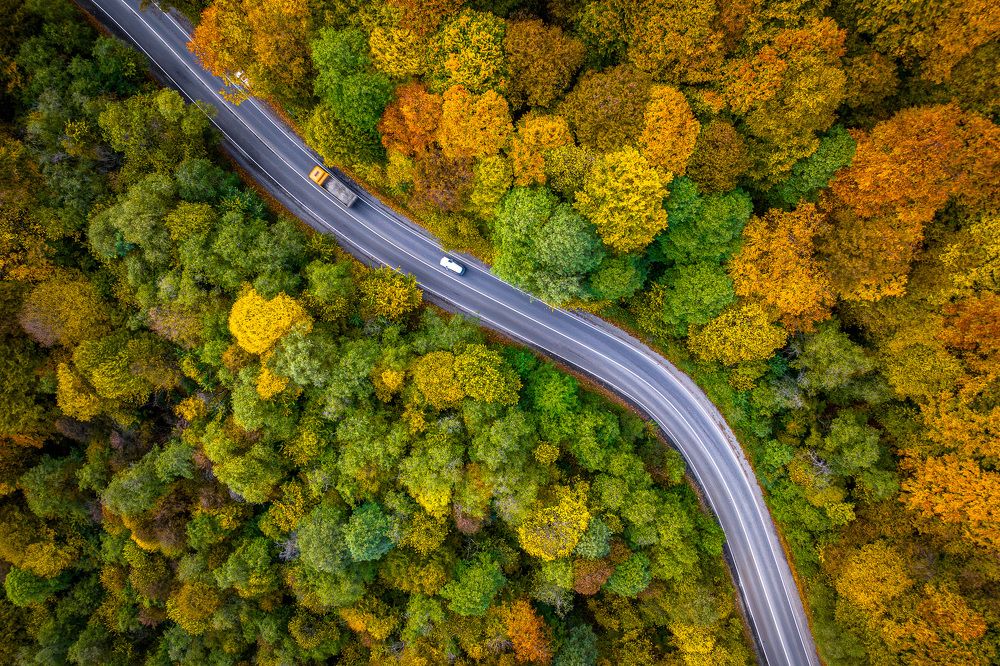 Photograph by Труханов Илья