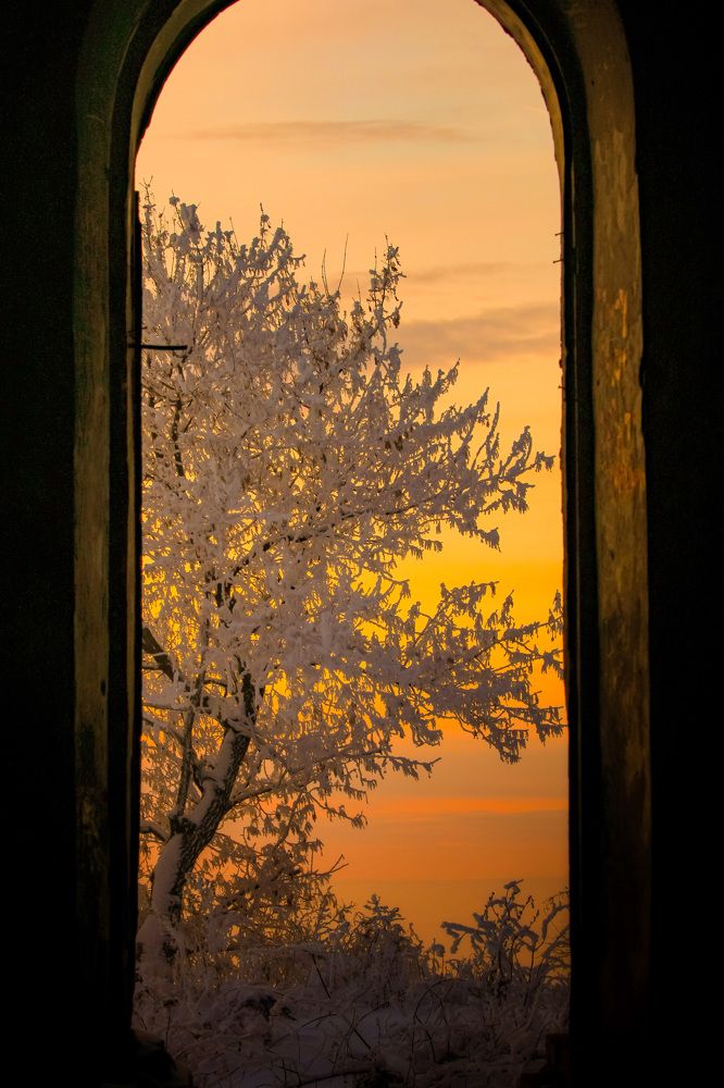 Photograph by Олеся Постнова