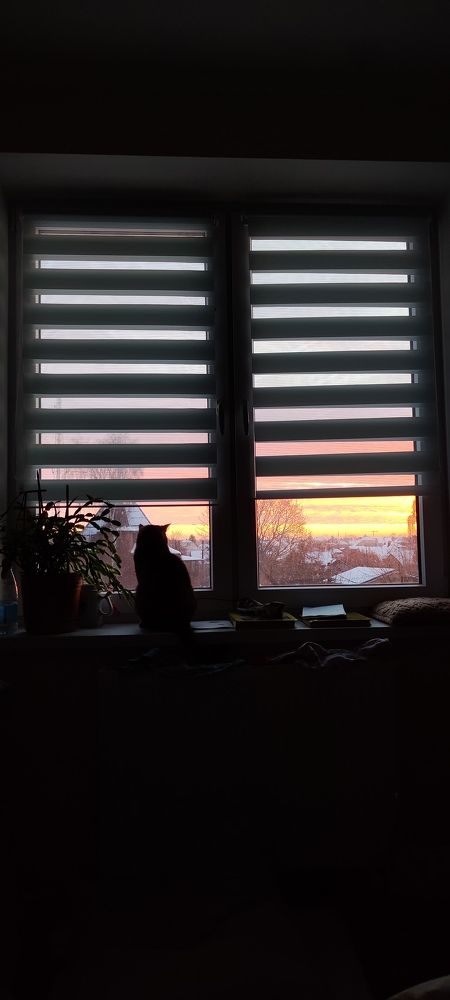 Photograph by Екатерина Балакина