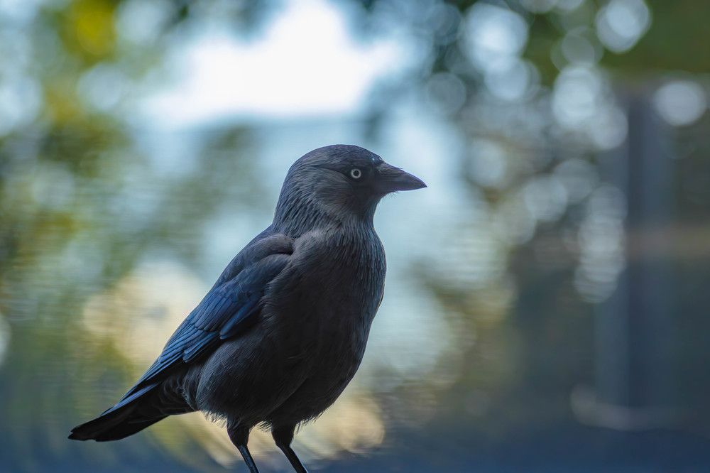 Photograph by Андрей Шабанов