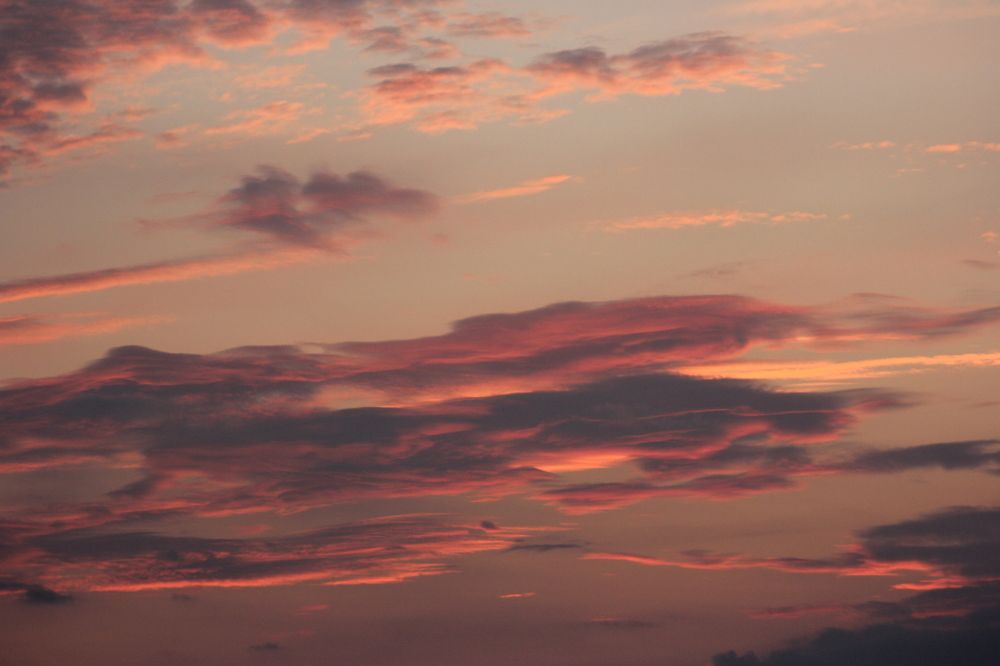 Photograph by Татьяна Краева