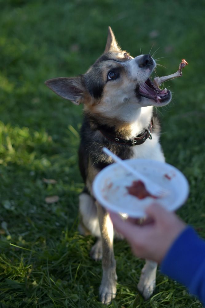 Photograph by Наталья Сорокина