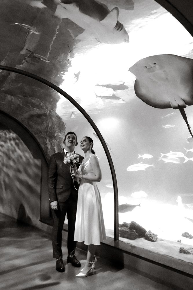 Photograph by Екатерина Зайцева