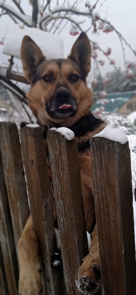 Photograph by Наталья Сорокина