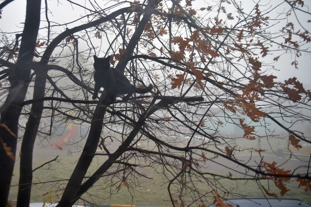 Photograph by Наталья Сорокина