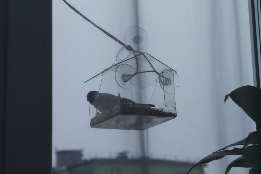 Photograph by Татьяна Краева