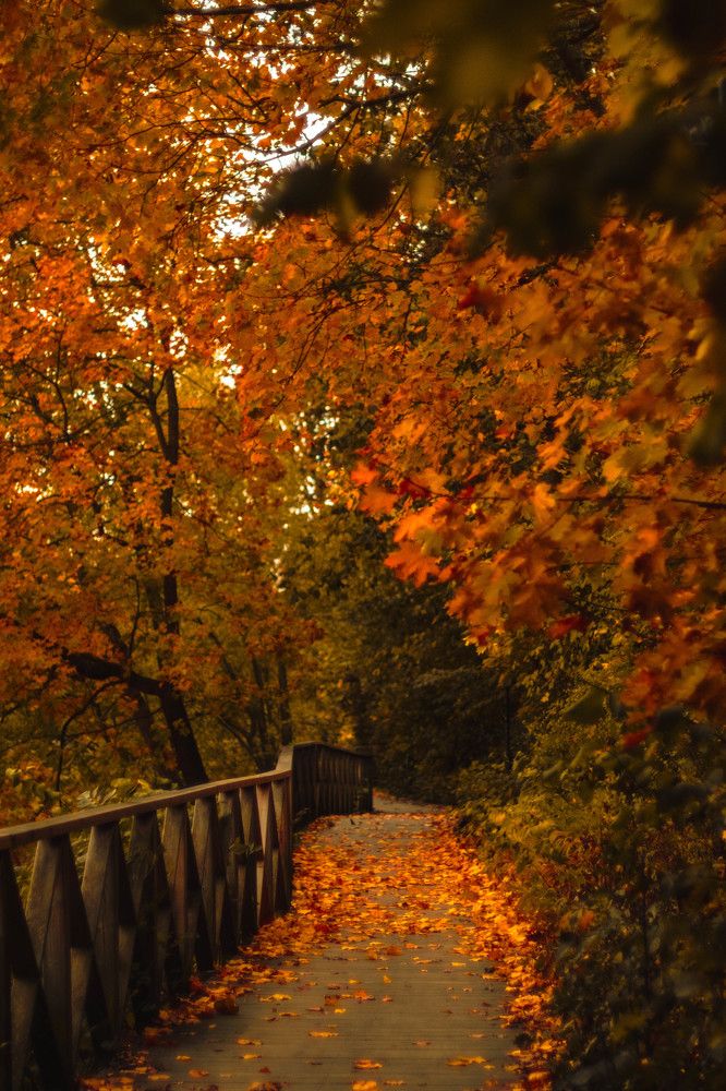 Photograph by Андрей Шабанов