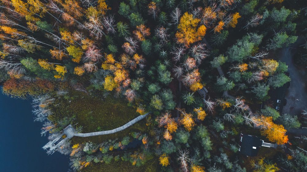 Photograph by Андрей Шабанов