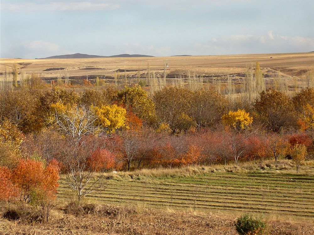 Photograph by ammar rahmani