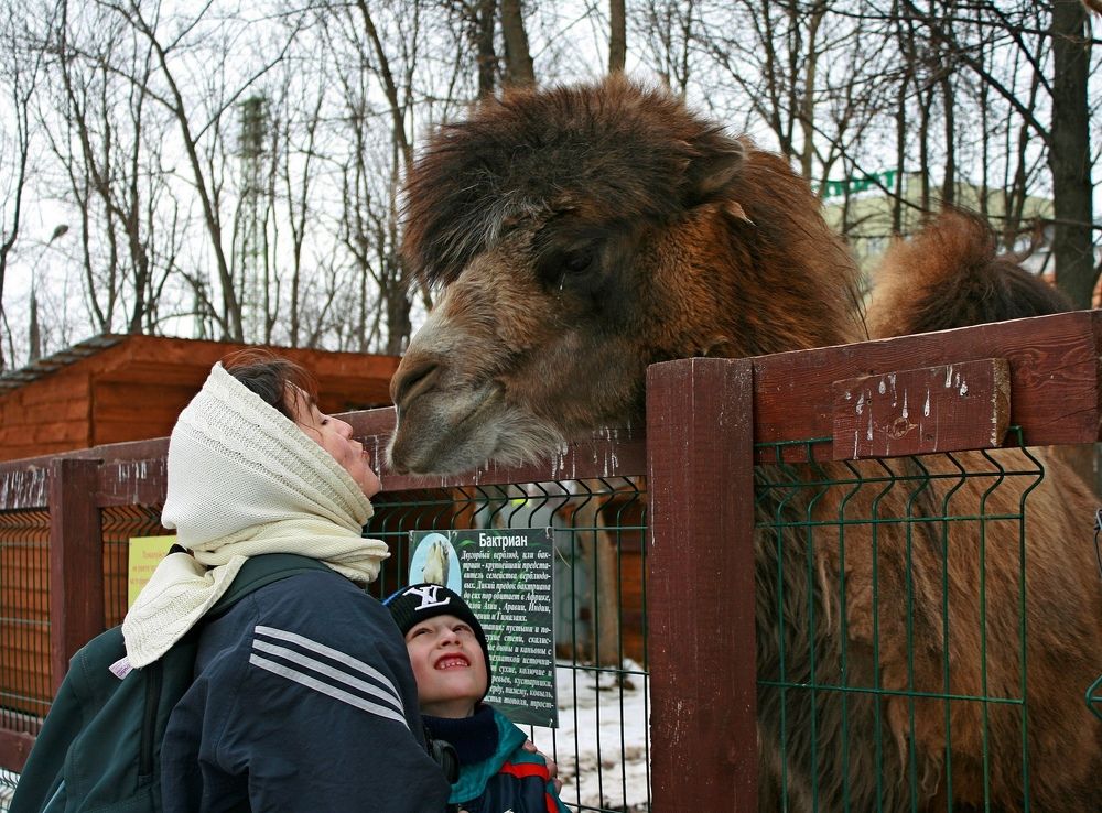 Photograph by Татьяна Кунц