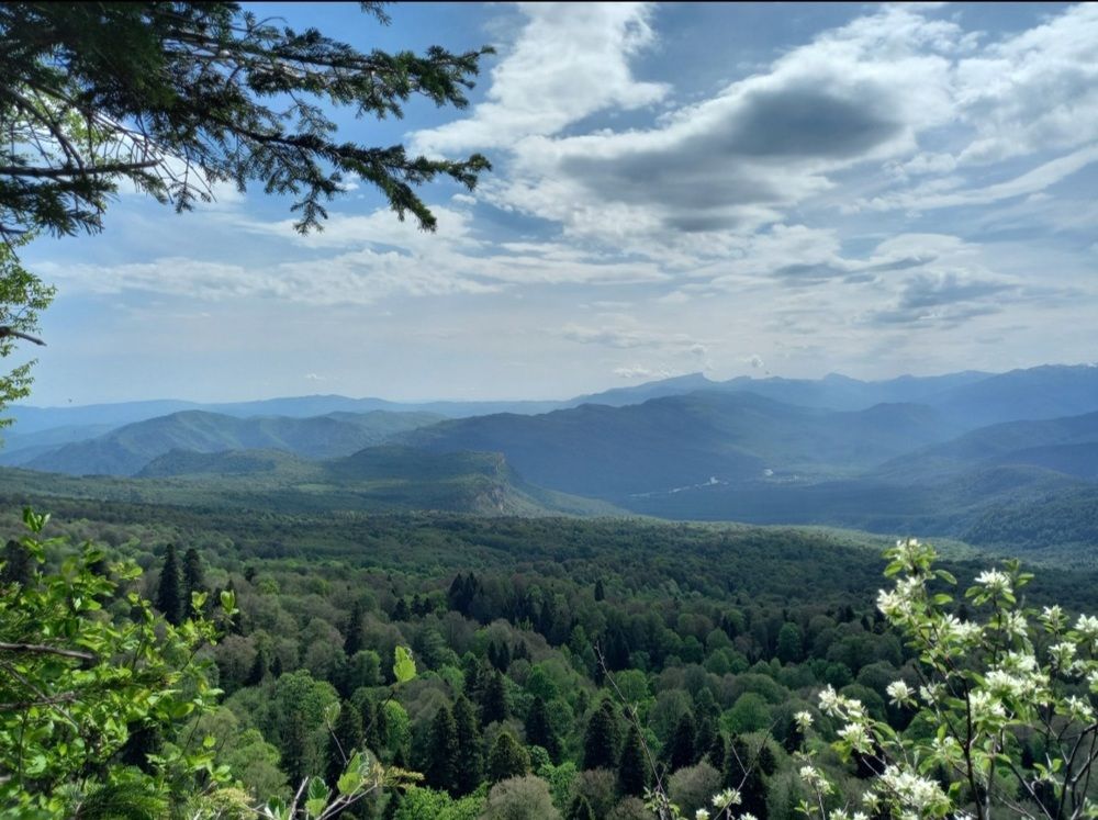 Photograph by Диана Савостина