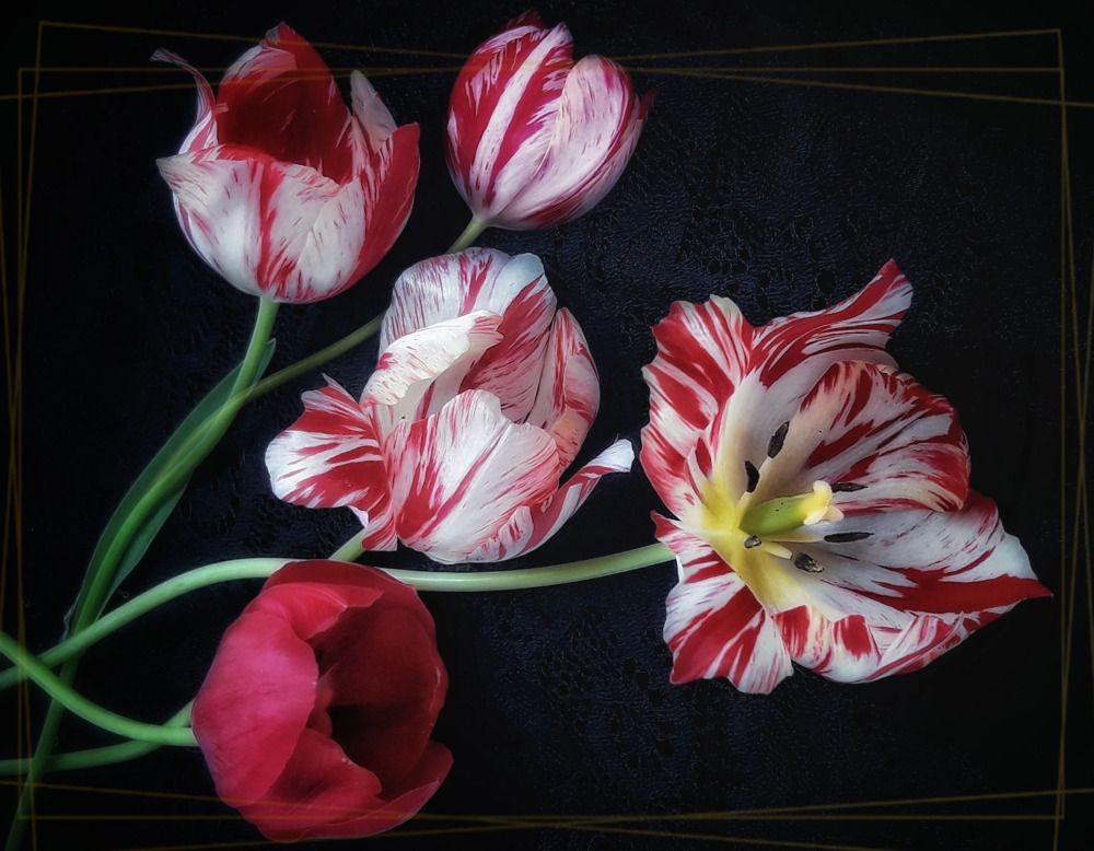 Photograph by Марина Мальцева