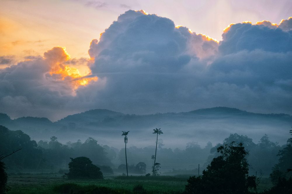 Photograph by M.Maleesha Sathsara Perera