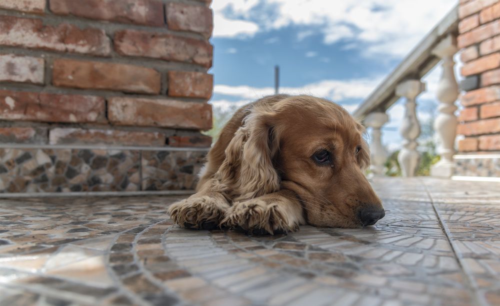 Photograph by сергей поспелов