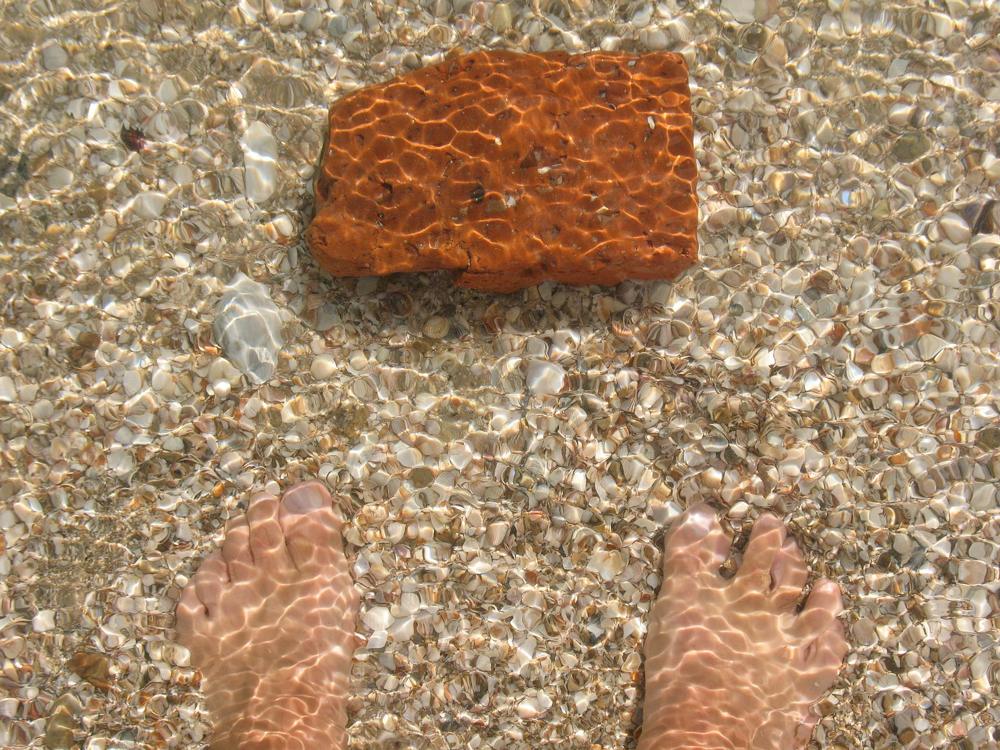 сЭлфи с кирпичем