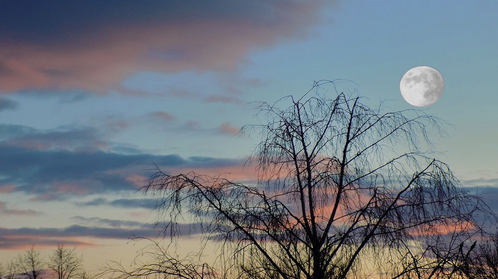 Photograph by Сергей Рудаков